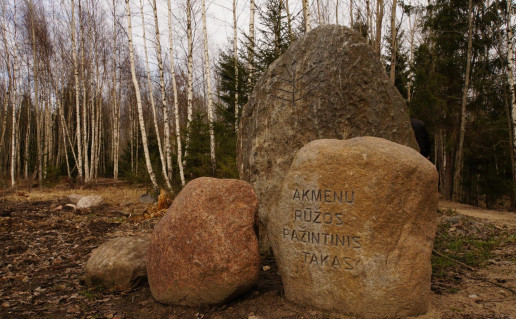 20_Akmenų rūžos takas  (1).jpg